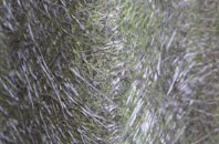 Gorebridge fibreglass roof work